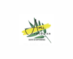 logo AMI IMMOBILIER