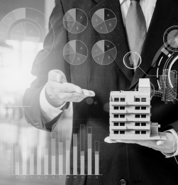 Immobilier (promotion)