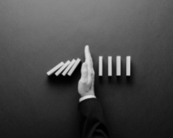 Gestion - Management - Conseil en organisation