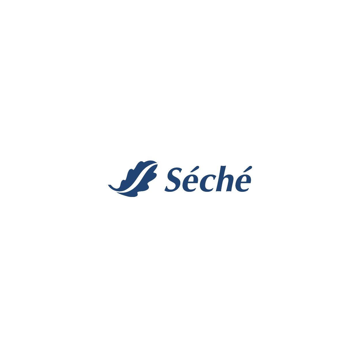 SECHE HEALTHCARE