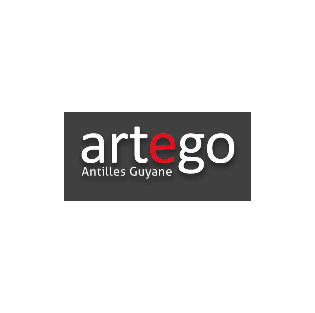 ARTEGO CUISINE