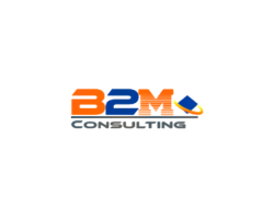 b2m consulting.