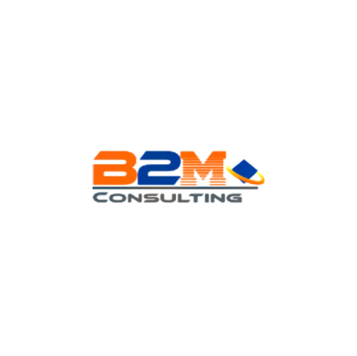 B2M CONSULTING