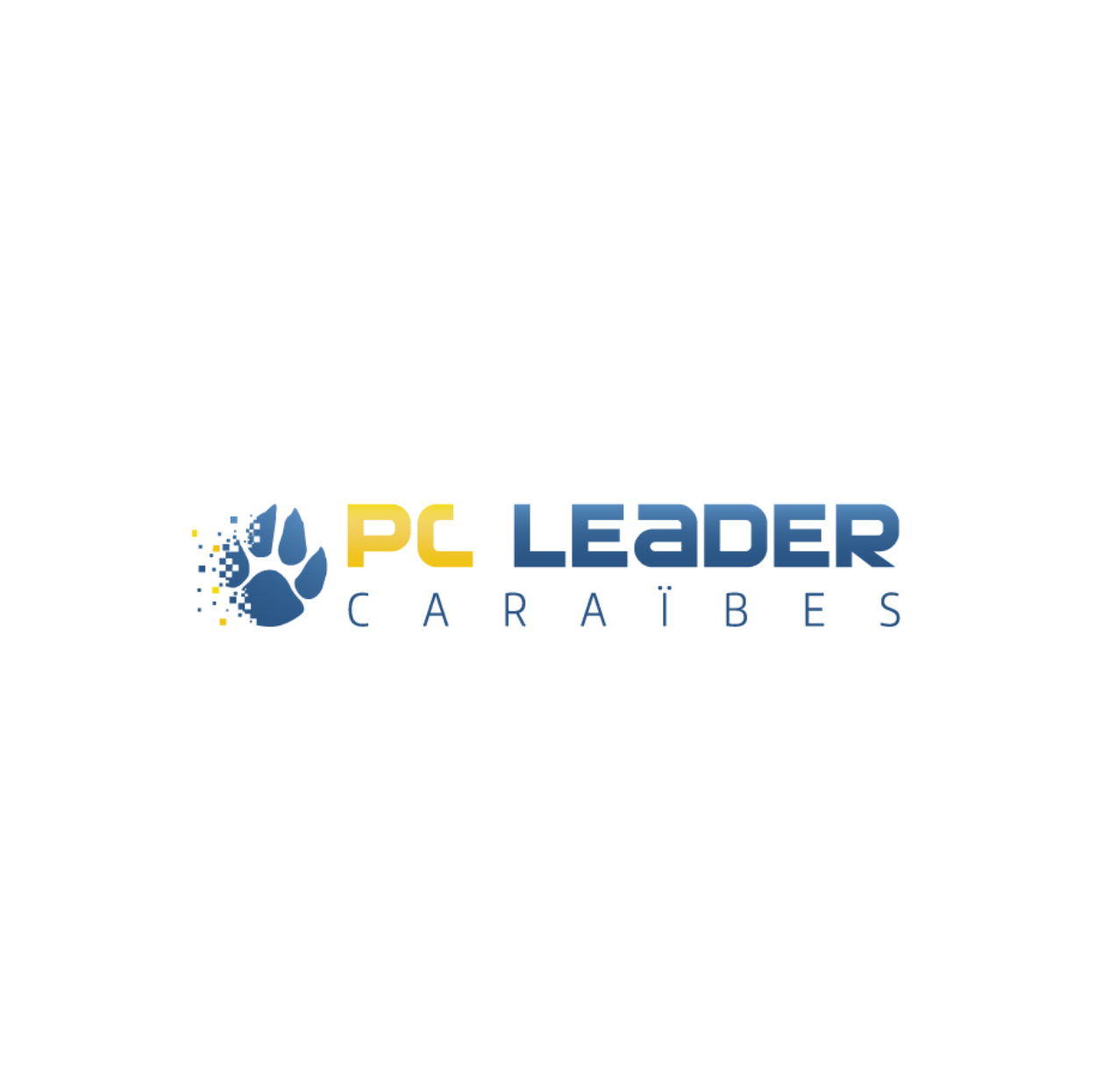 PC LEADER (DOTHEMARE)