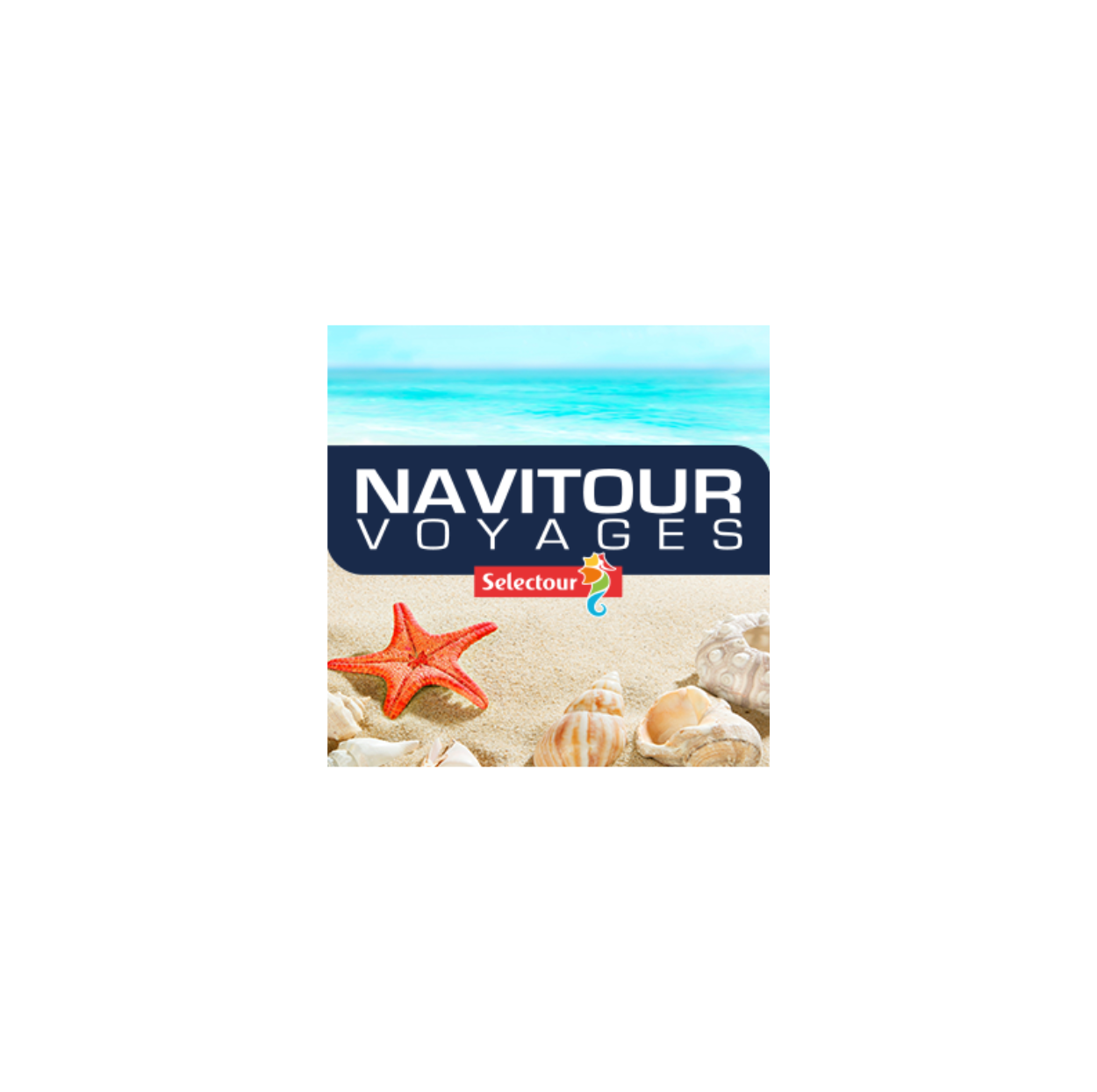 NAVITOUR VOYAGES (BAS DU FORT)