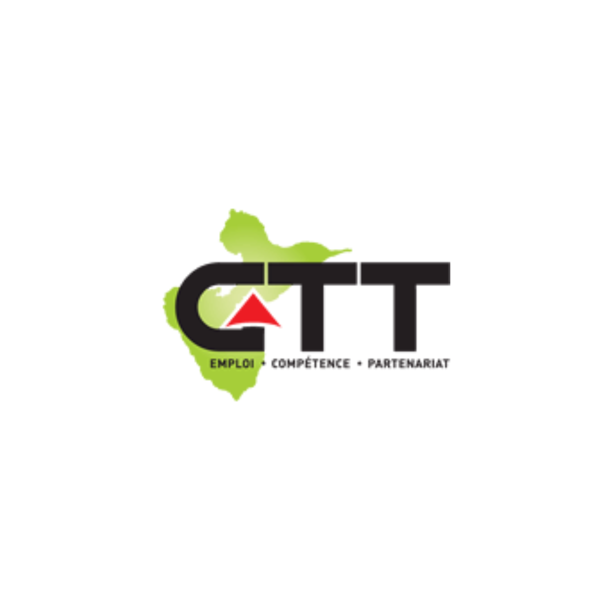 GUADELOUPE TRAVAIL TEMPORAIRE (GTT)