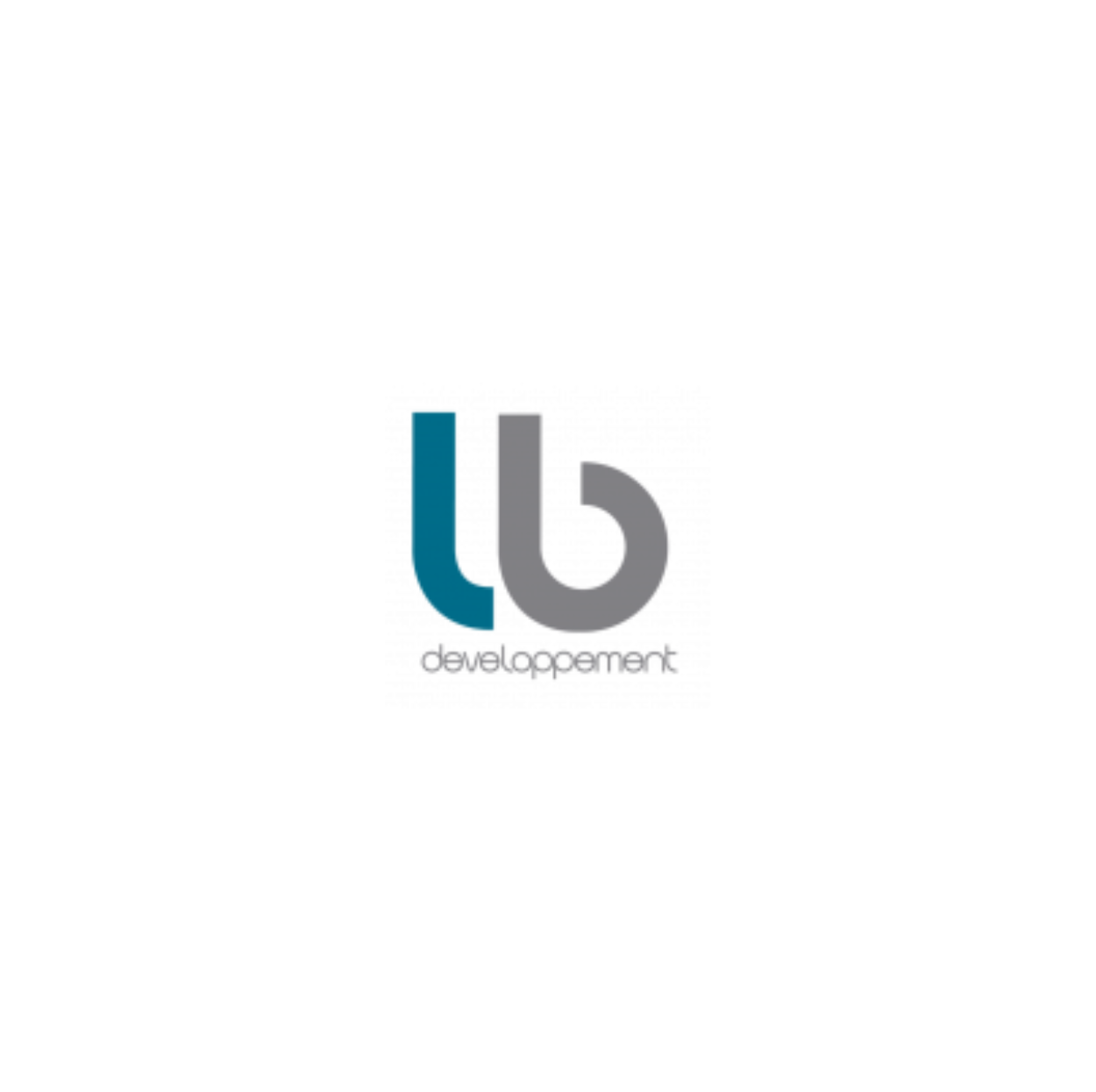 LB DÉVELOPPEMENT OUTREMER