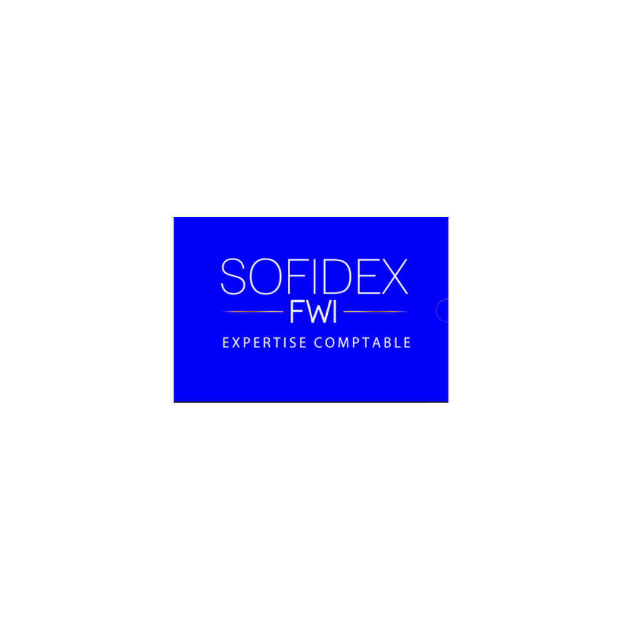SOFIDEX FWI