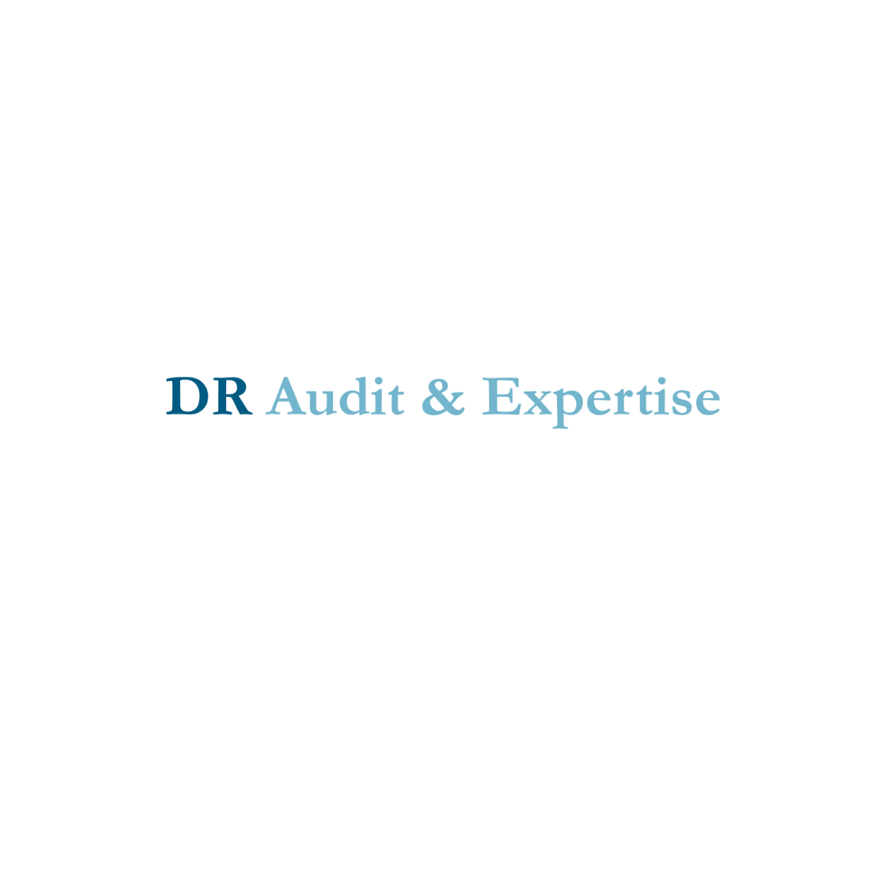 dr audit expert