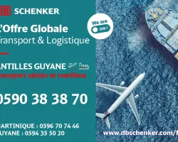 db schenker insertion