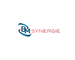 BM SYNERGIES SERVICES