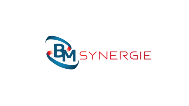 BM SYNERGIE SERVICES