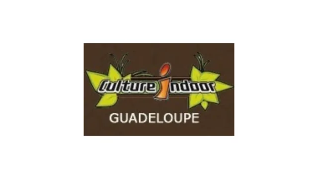CULTURE INDOOR