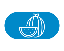 Grossistes alimentaire • Distribution