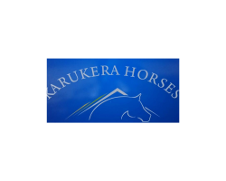 KARUKERA HORSES-2