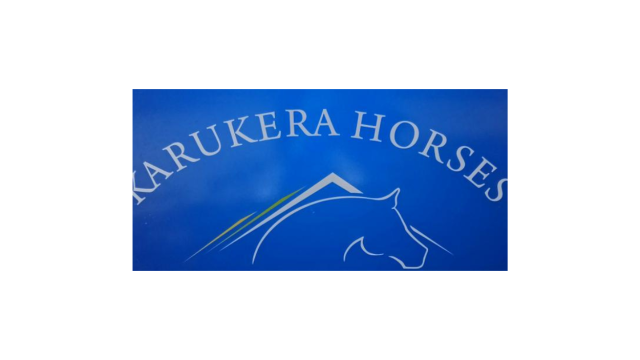 KARUKERA HORSES