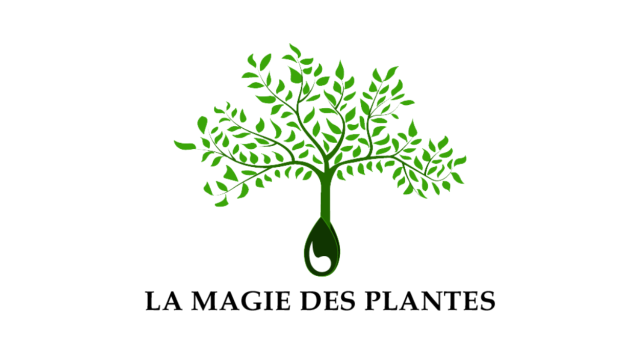 LA MAGIE DES PLANTES ALQUIMICA