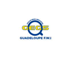QEGS