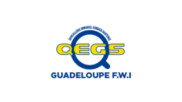 QEGS