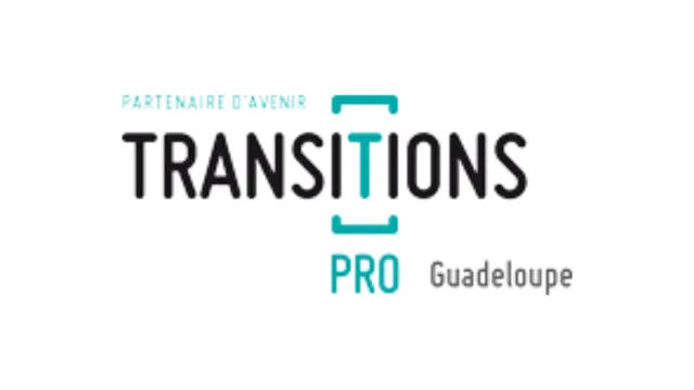 TRANSITIONS PRO GUADELOUPE