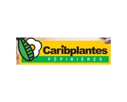 CARIBPLANTES-2