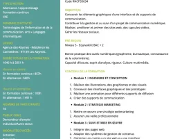 Concepteur Designer FORMATION CONTINUE Pole Emploi et ALTERNANCE (H:F)