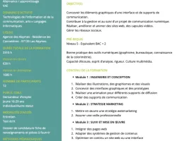 Concepteur Designer (H:F) en alternance